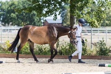 Bild 76 - Pony Akademie Turnier